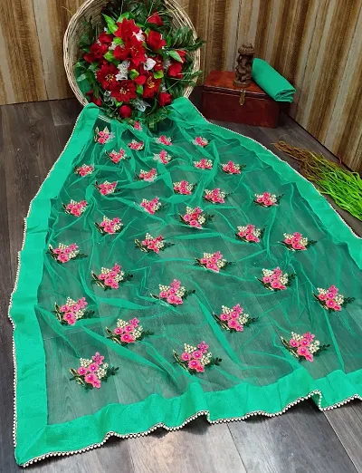 Beautiful Net Embroidered Saree with Blouse piece